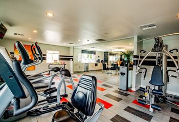 Fifteen 50 apartments - gym